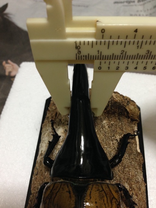 2014-08-28_00-42-26