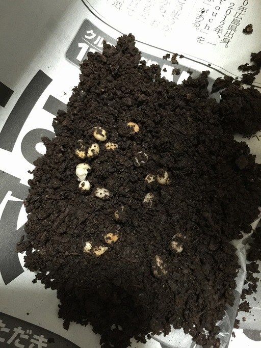 2015-03-12_04-34-05