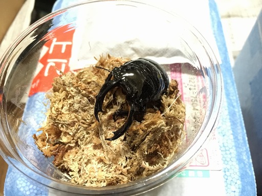 2015-03-22_11-21-36