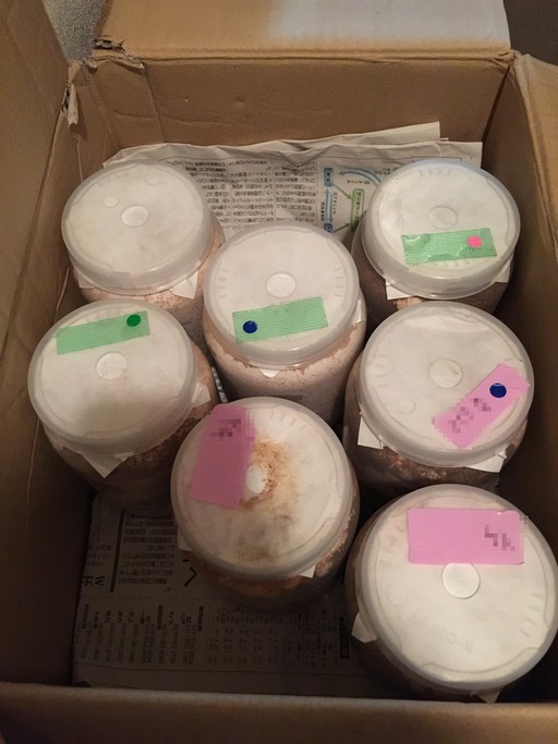2015-03-30_00-27-06
