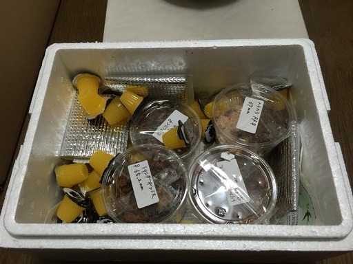 2015-01-14_23-09-42