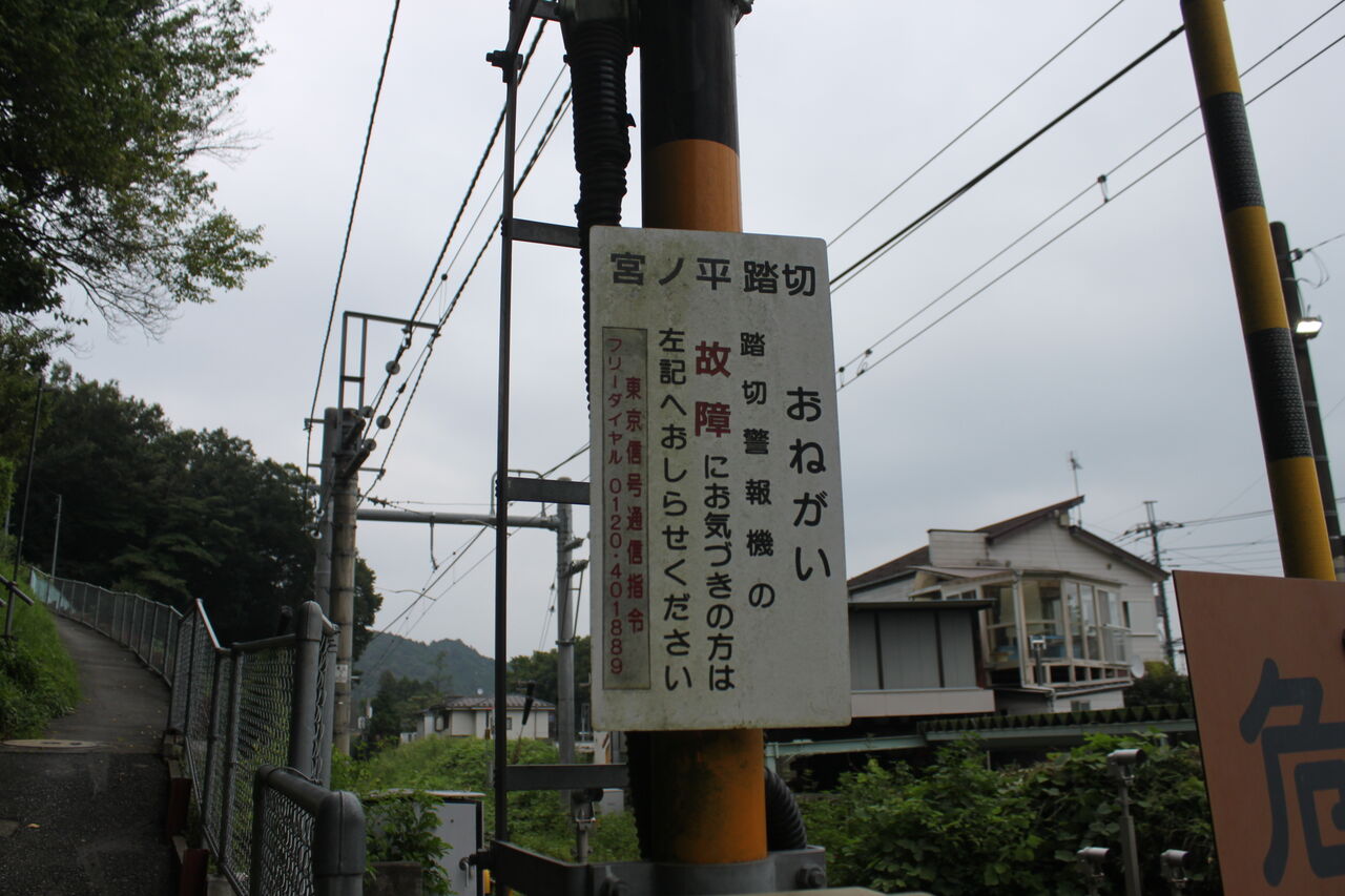宮っ地 サジェスチョン - （椅子張り地｜椅子張り地）：株式会社フジエ