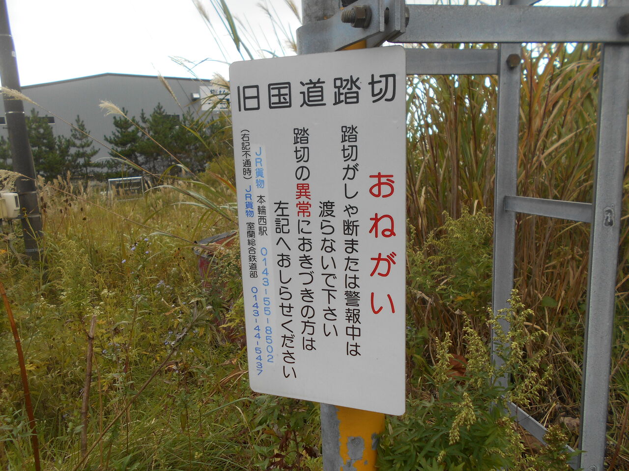 JR室蘭線（陣屋町側線）]旧国道踏切（1k448m付近） : 北海道踏切