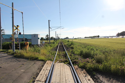 dai1sapporowakkanaisen_2