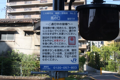 5点≪ロット番号001≫【野洲市A・東近江市B/京丹波町A/亀山市B/若狭町A】 5点≪ロット番号001≫【野洲市A・東近江市B/京丹波町