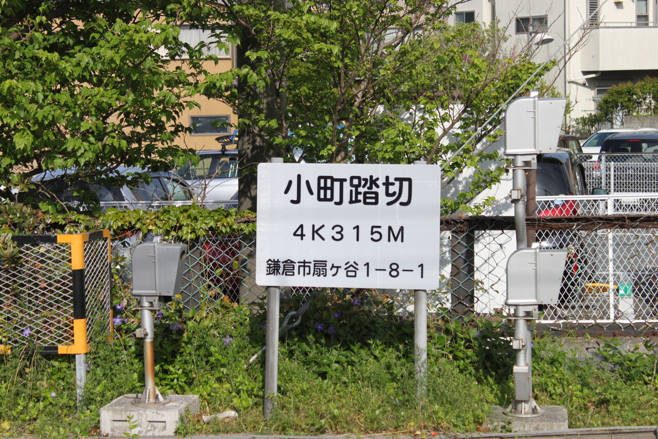 小町 KKP2338 はいから小菊 二越ちりめん®多色プリント｜プリント
