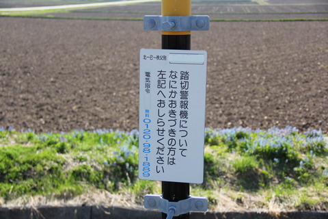 chippubetsureichome_7