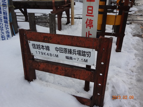 nakatahararenpeijo_1