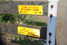 kabato_2
