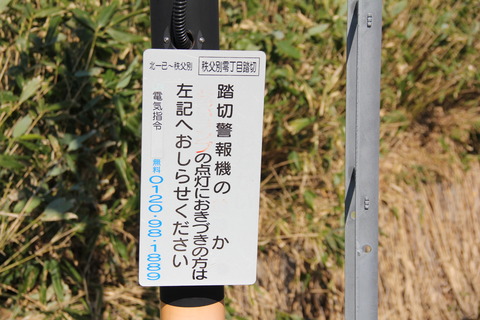 chippubetsureichome_3