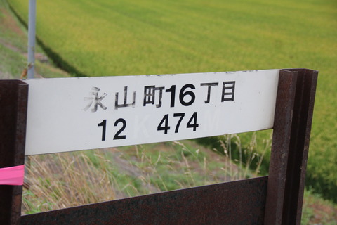 nagayamacho16chome_3