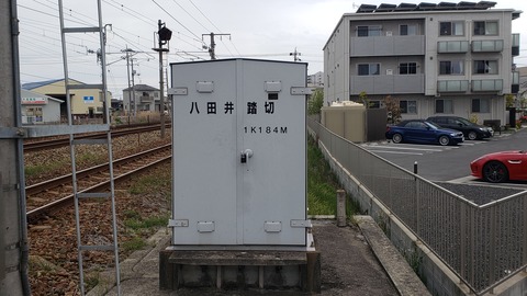 hattai_13