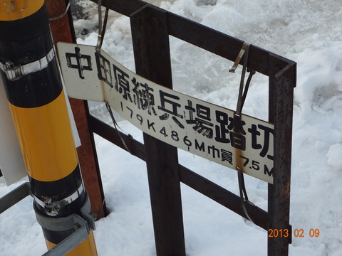 nakatahararenpeijo_2