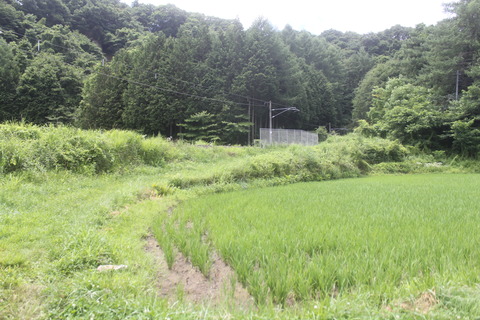 nishikubo_7