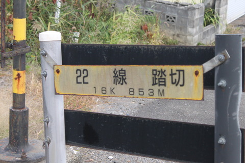 80153f14-s.jpg