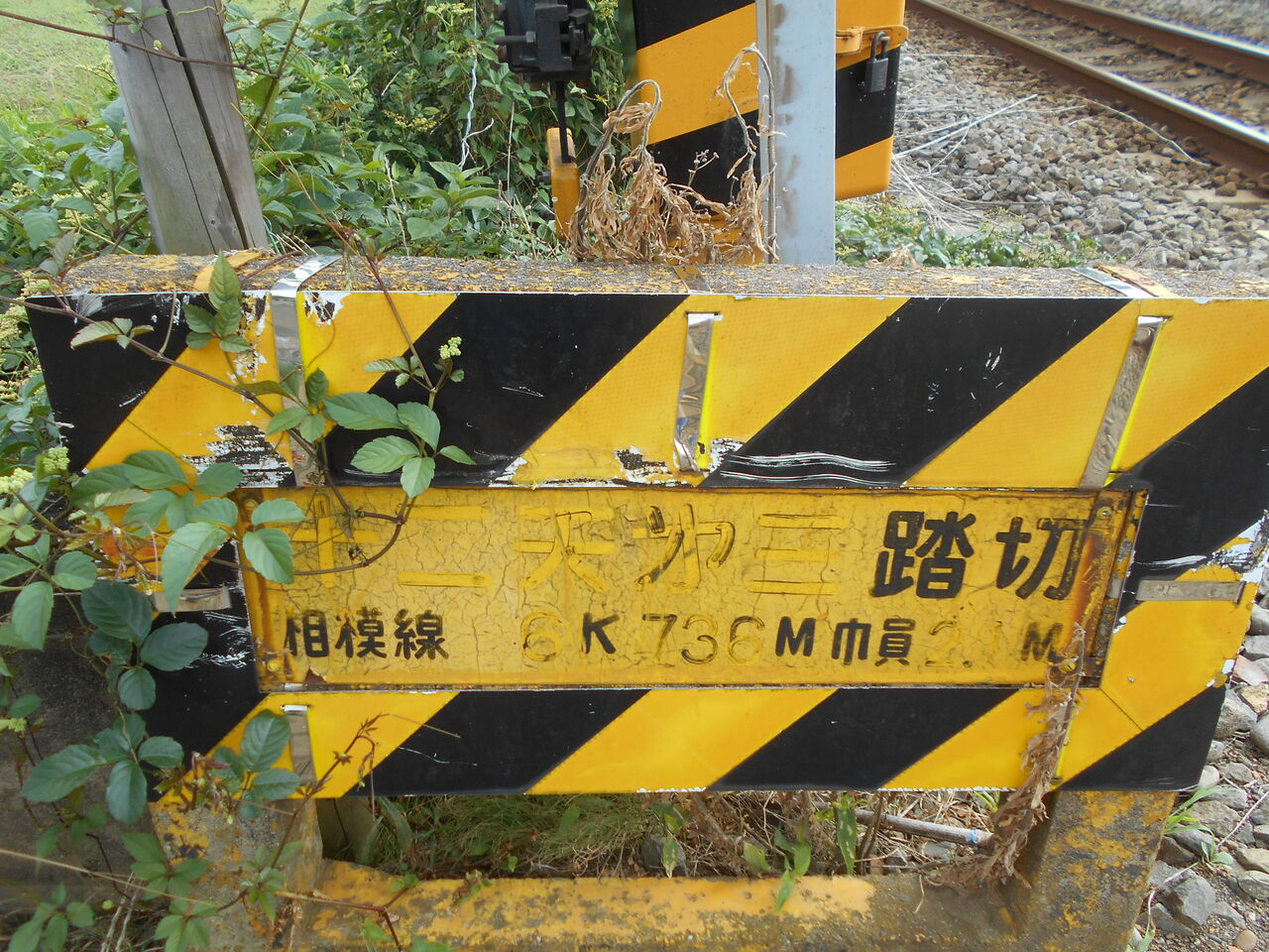 薩摩波千鳥図 K-033-2BR3 真鍮地 薩摩波千鳥図縁頭｜現代物金具