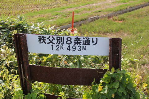 chippubetsu8jodori_7