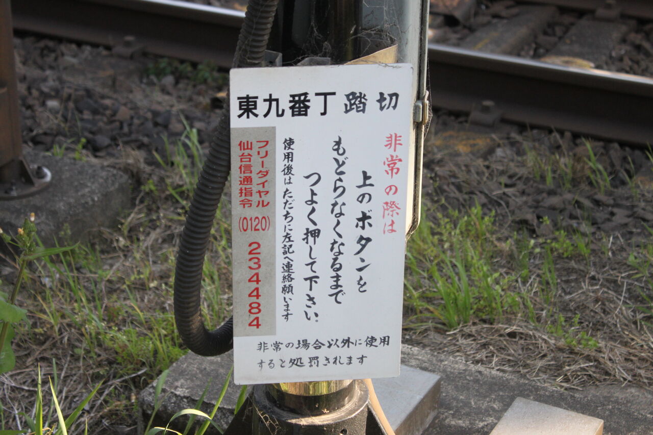5点≪ロット番号001≫【野洲市A・東近江市B/京丹波町A/亀山市B/若狭町A】 Oshamambe Station - Wikipedia