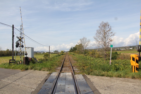 chippubetsu8jodori_3