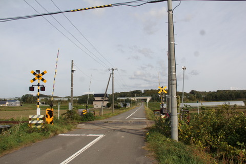 chippubetsu4jodori_7