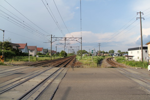 kabato_6