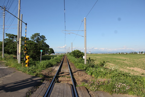 dai1sapporowakkanaisen_3