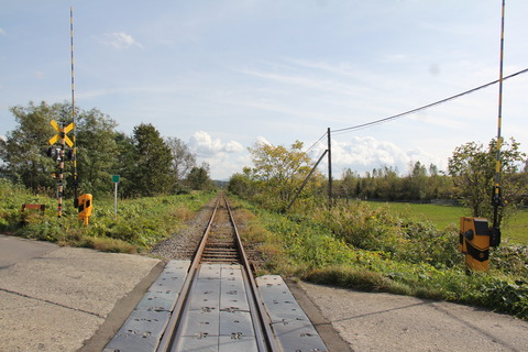 chippubetsu8jodori_4