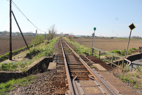 chippubetsureichome_5