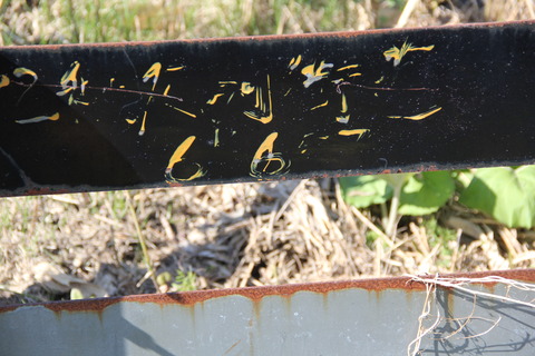 dai2chippubetsukaido_10