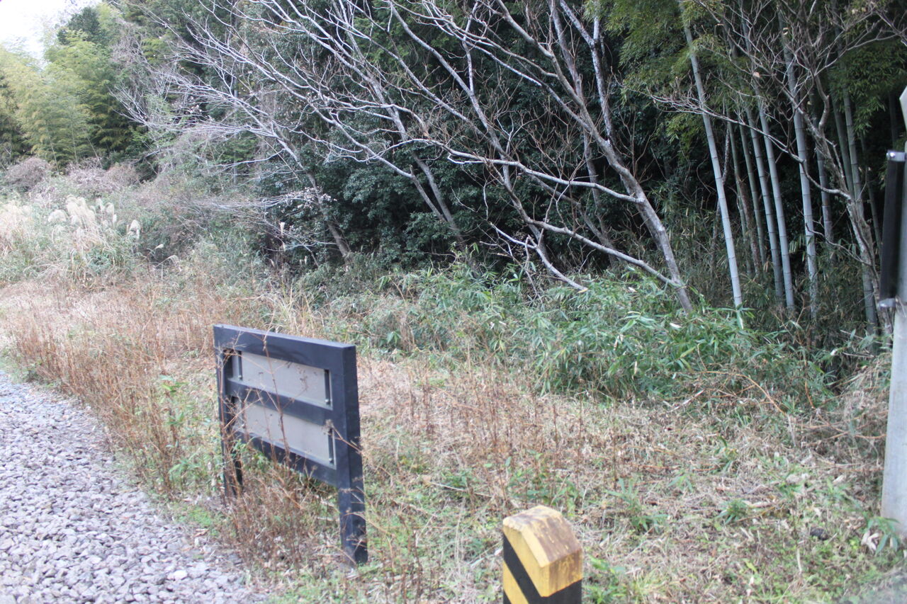 JR身延線]旧甲州街道踏切（22k296m） : 北海道踏切調査室（HBC）