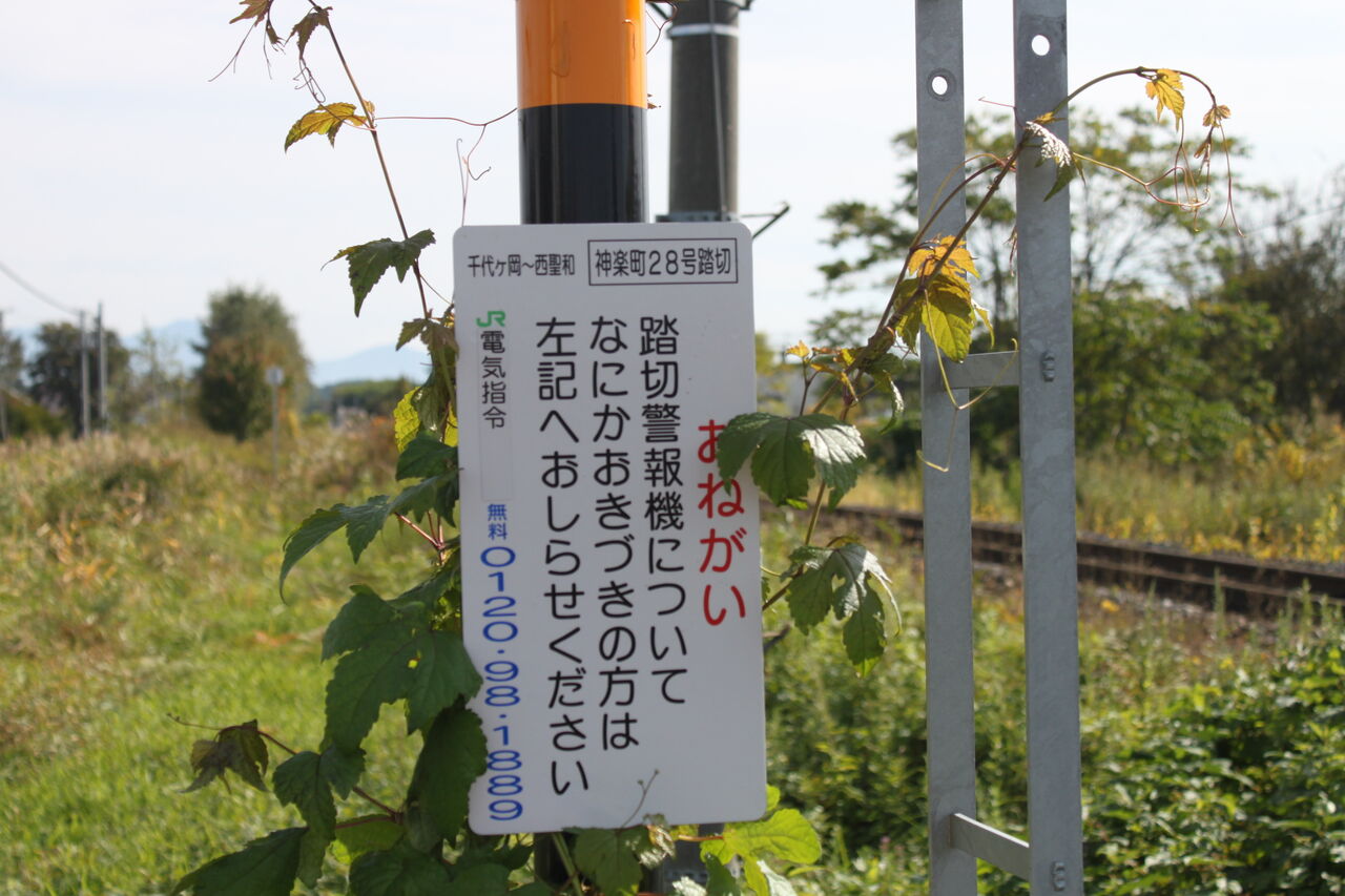道楽　半信半疑 踏切】JR宇都宮線 全方位警報灯のオーバーハング踏切 (Railroad