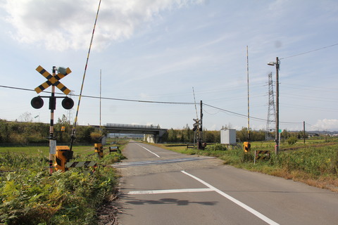 chippubetsu8jodori_1