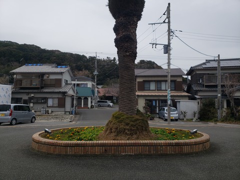 wadaura_soto