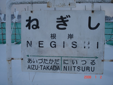 negishi