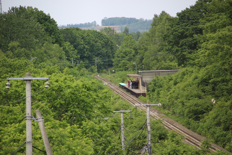 taisei_zenkei