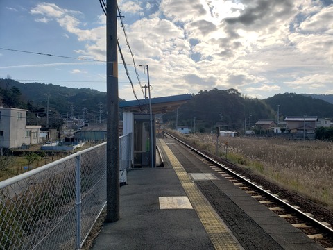 matsushita_konai2