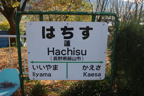 hachisu