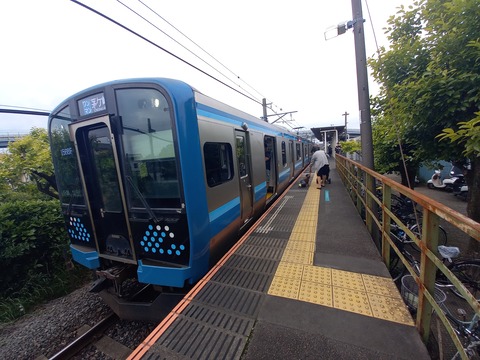 miyayama_home_forHashimoto