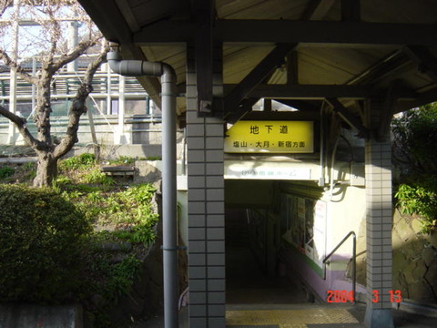 sakaori_chikado