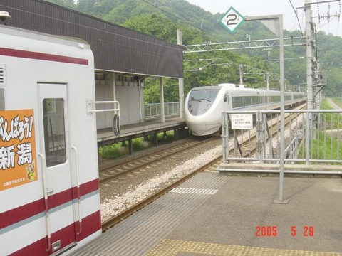 mushigawaosugi_home1_pass_forKanazawa