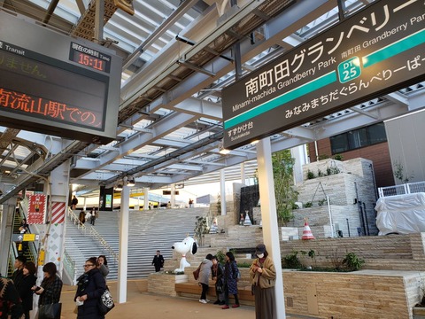 minamimachidagrandberrypark_kaidan