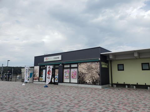 tomioka_sakura