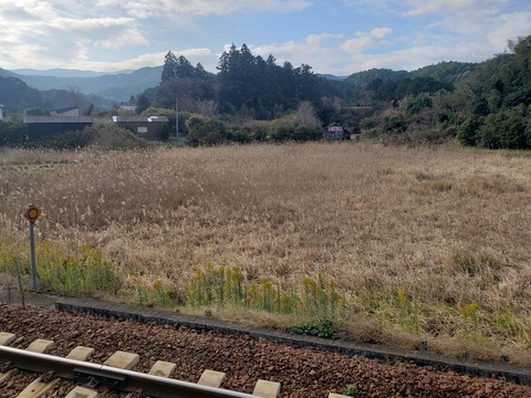 matsushita_senromukou