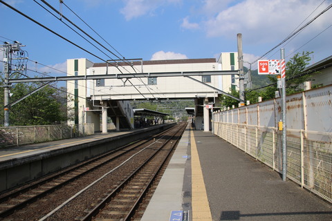 umahori_konai