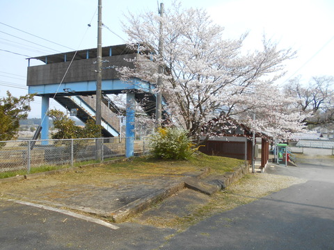 tambaoyama_dodai