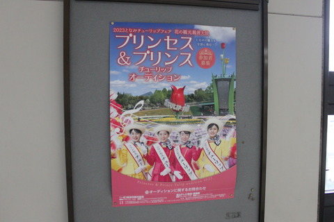 tonami_tulipfes