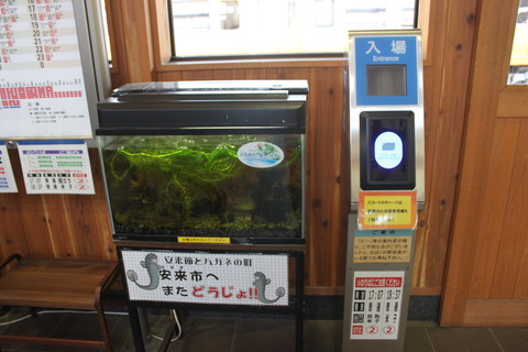 yasugi_suiso