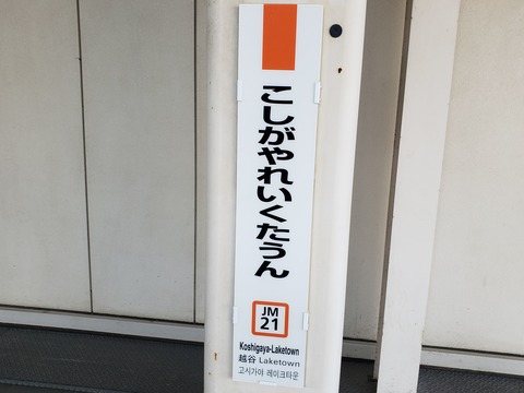 koshigayalaketown_tate