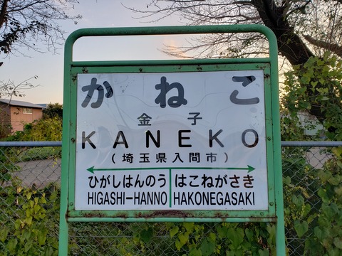 kaneko_okd