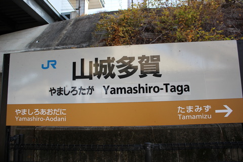 yamashirotaga